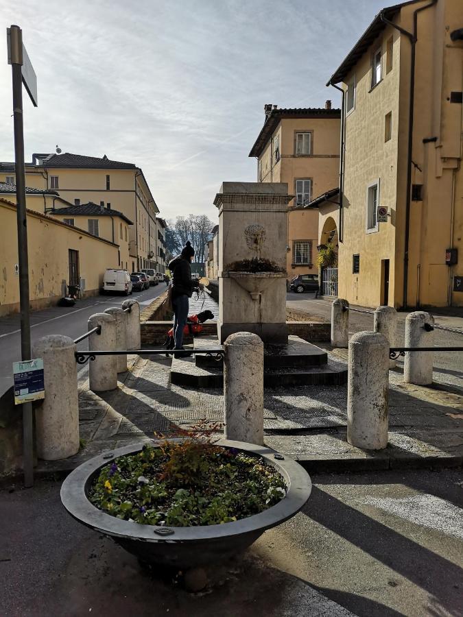 Domus Appartement